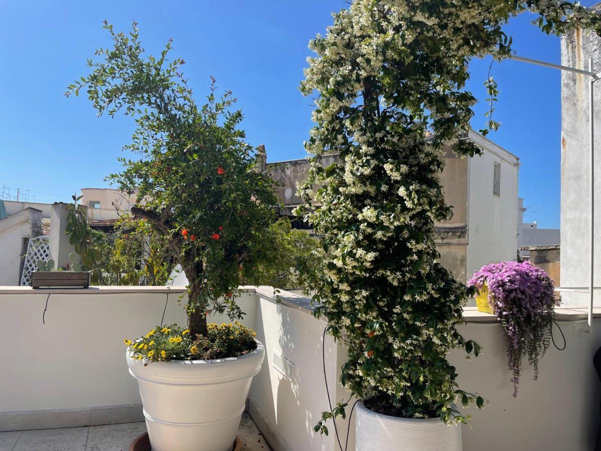 #Soloperte B&B Apartments Molfetta Buitenkant foto